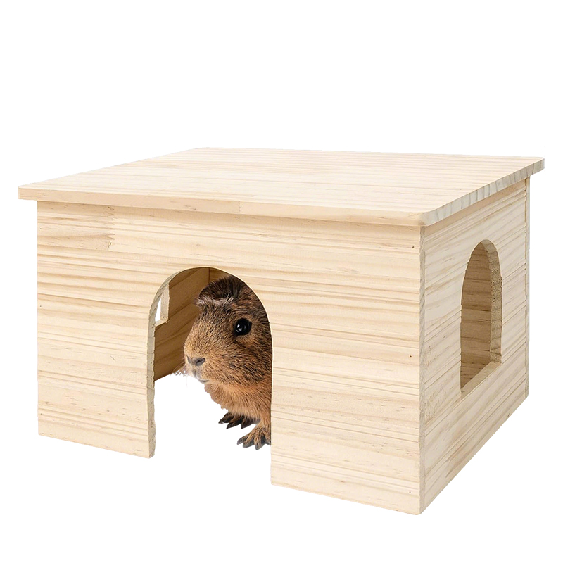 HAMSTER, GUINEA PIG HOUSE-004