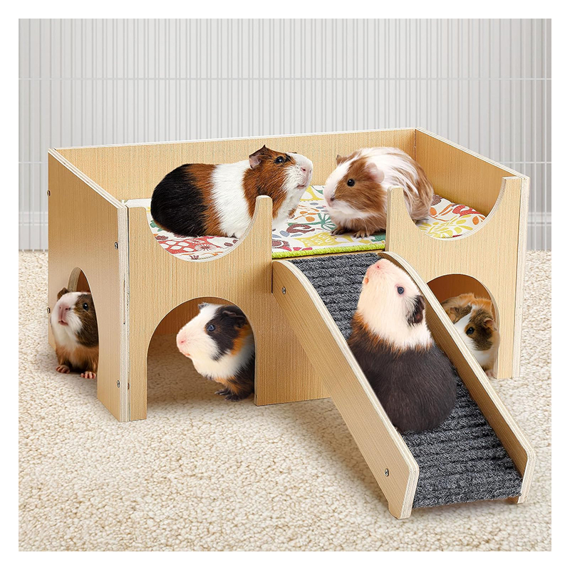 HAMSTER, GUINEA PIG HOUSE-  010