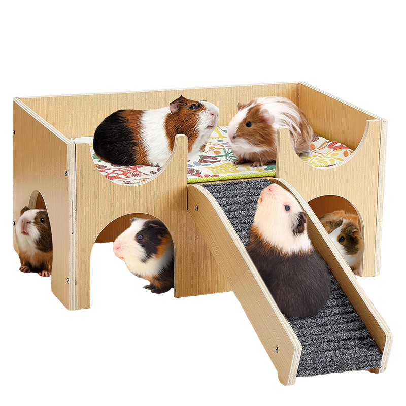 HAMSTER, GUINEA PIG HOUSE- 006