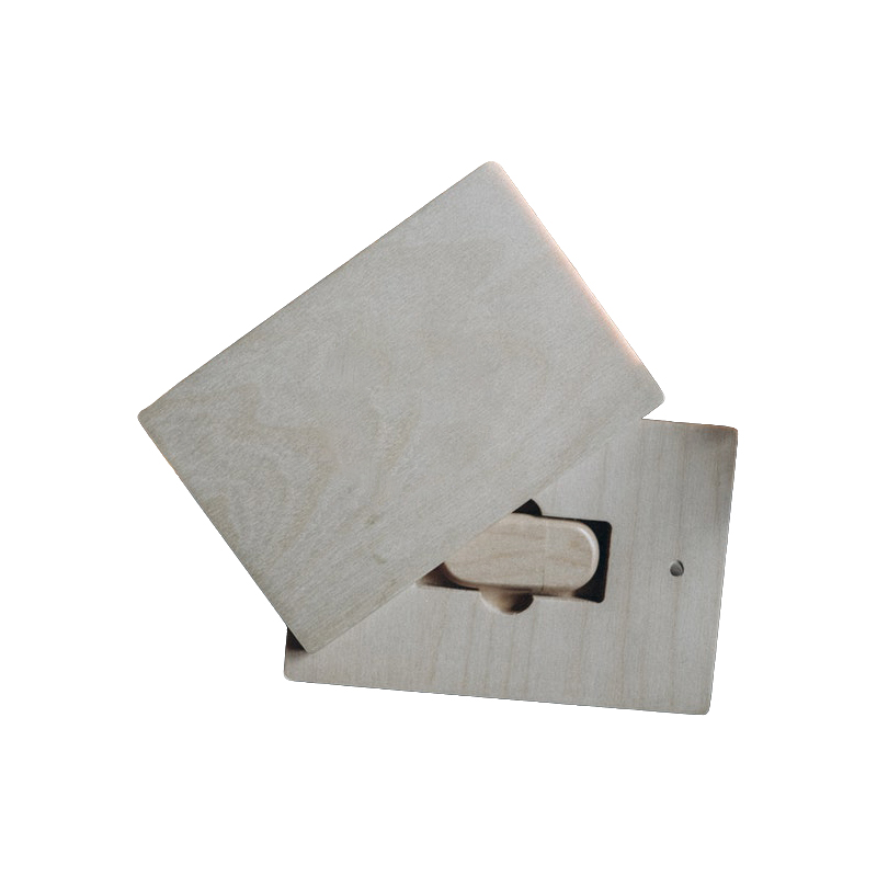 PHOTO BOX USB BOX PBUB-003